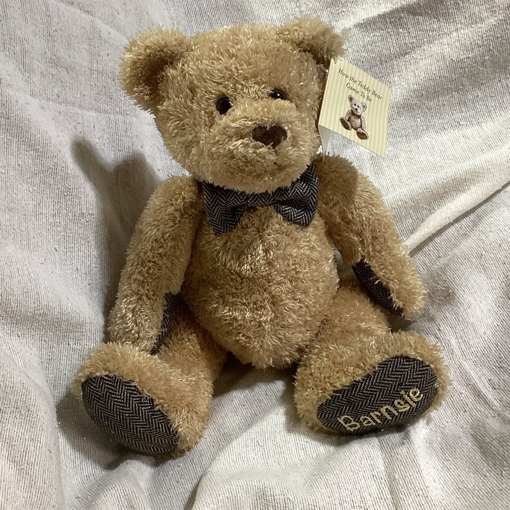 Barnes & Noble Plush Teddy Bear Barnsie 14" Tags Attached 2015 Version